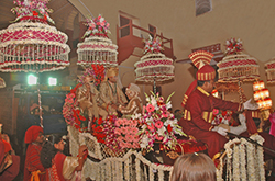 Click here for close up