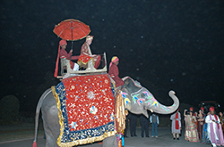 Click here for close up